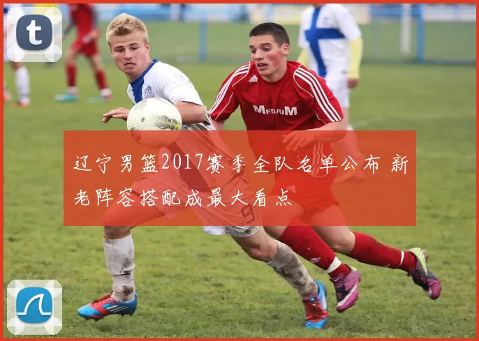 辽宁男篮2017赛季全队名单公布 新老阵容搭配成最大看点