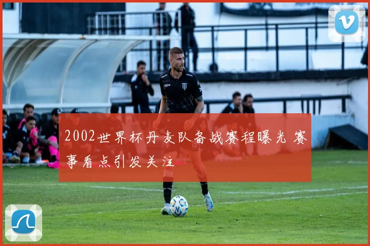 2002世界杯丹麦队备战赛程曝光 赛事看点引发关注