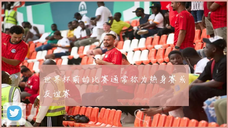 世界杯前的比赛通常称为热身赛或友谊赛