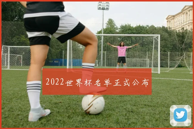 2022世界杯名单正式公布